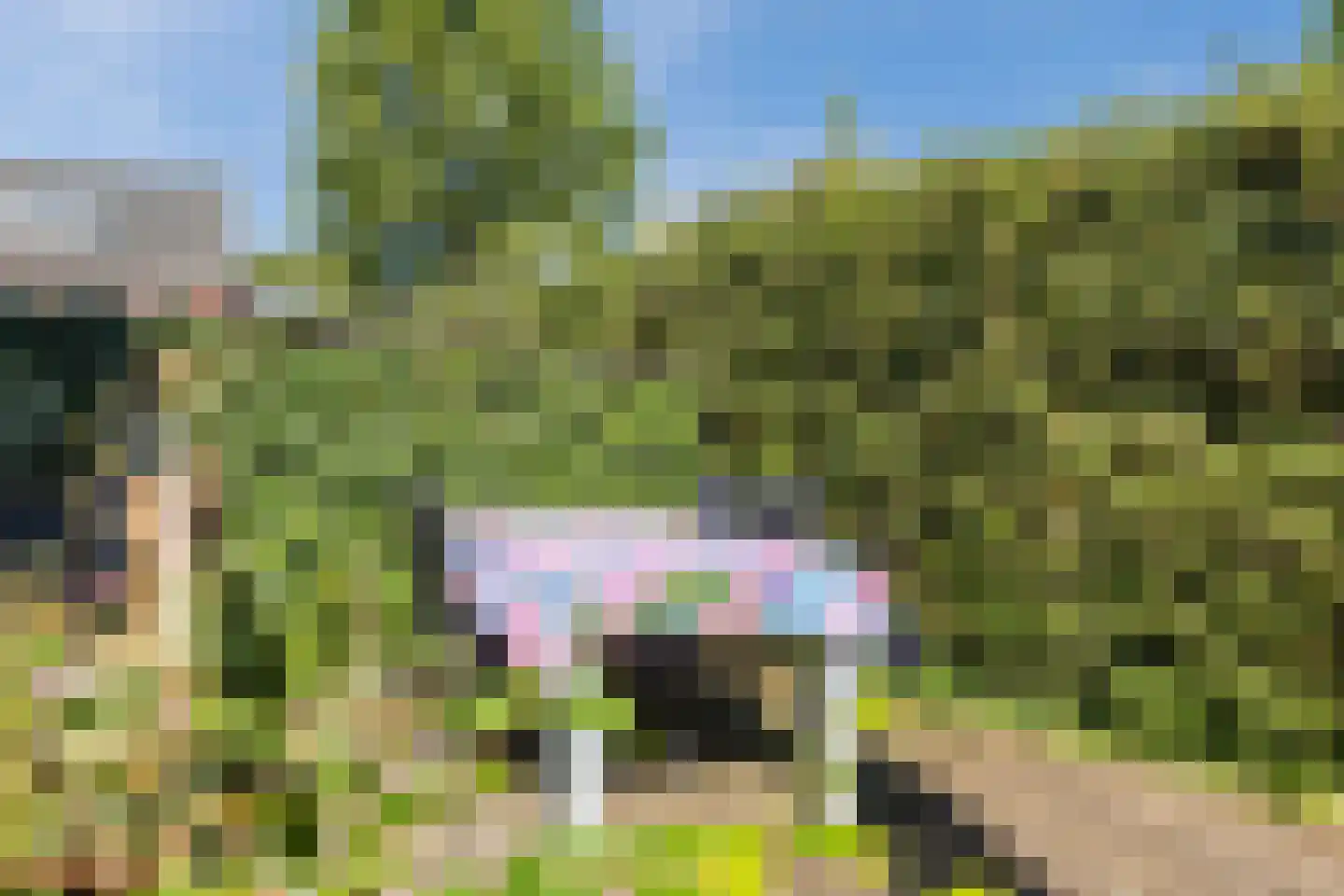 Graaf 21 Echt thumbnail 54