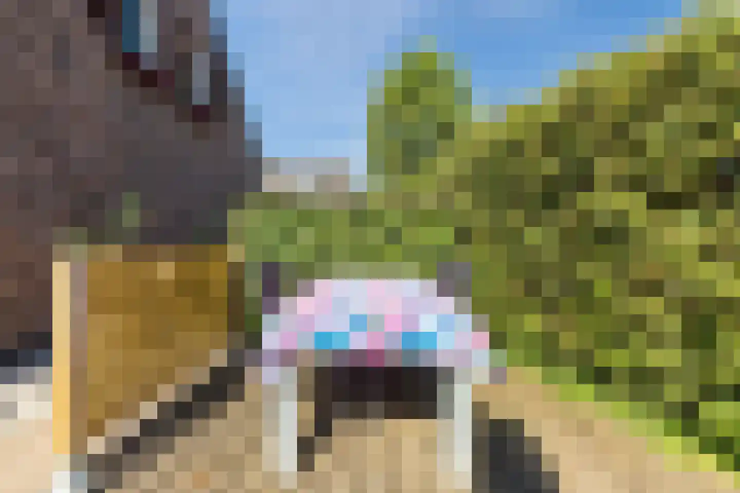Graaf 21 Echt thumbnail 55