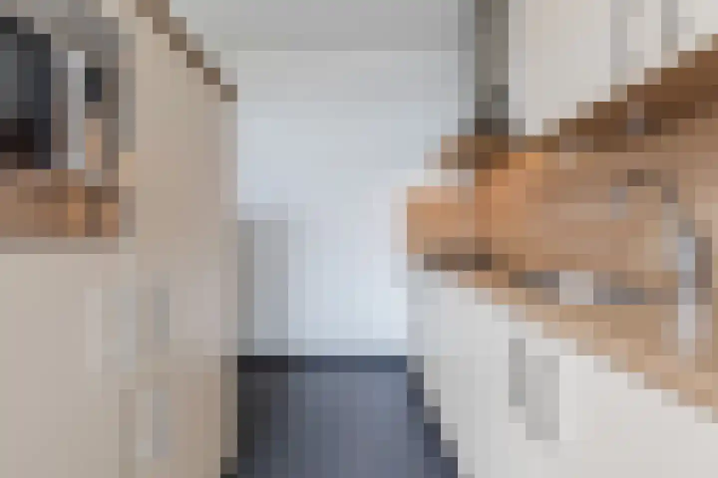 Graaf 25 A Echt thumbnail 18