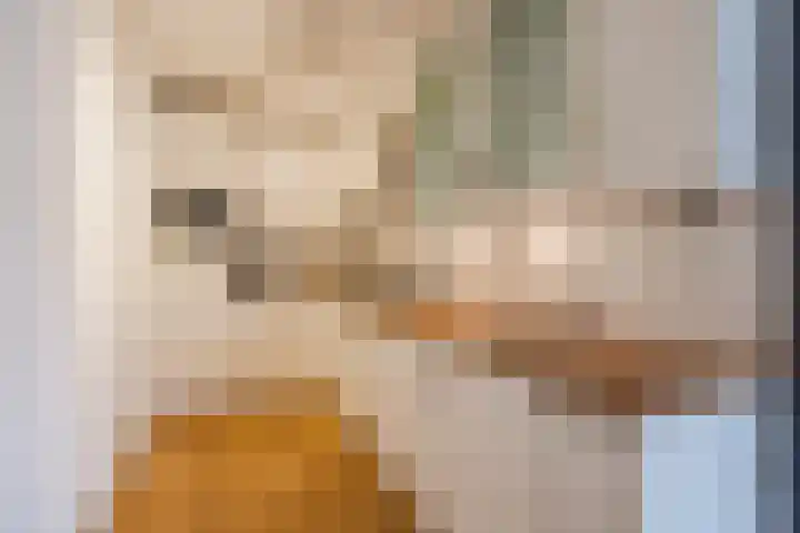 Graaf Adolf van Nassaustraat 24 Rotterdam thumbnail 11