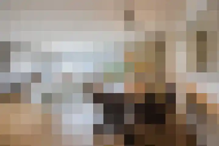 Graaf Adolf van Nassaustraat 24 Rotterdam thumbnail 13