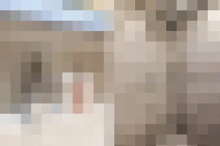 Graaf Adolf van Nassaustraat 24 Rotterdam thumbnail 15
