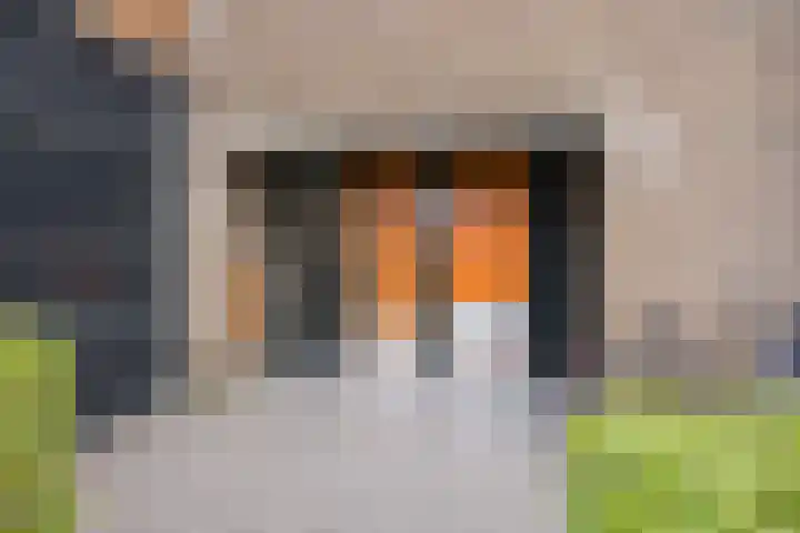 Graaf Adolf van Nassaustraat 24 Rotterdam thumbnail 32