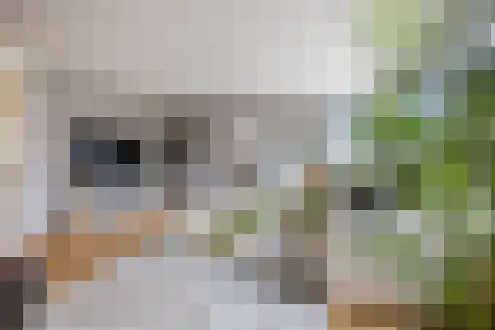 Graaf Adolf van Nassaustraat 24 Rotterdam thumbnail 5