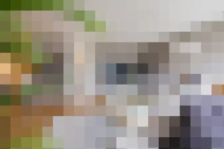 Graaf Adolf van Nassaustraat 24 Rotterdam thumbnail 6