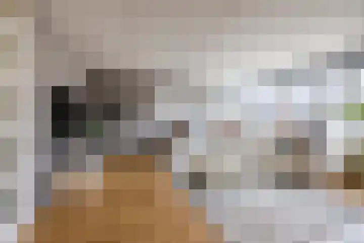 Graaf Adolf van Nassaustraat 24 Rotterdam thumbnail 7