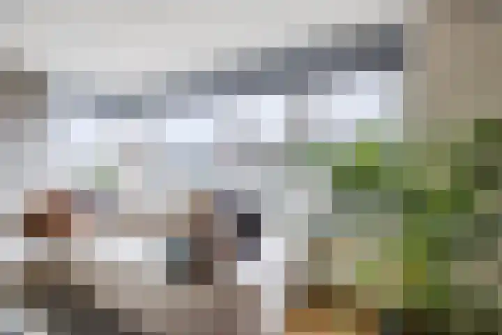 Graaf Adolf van Nassaustraat 24 Rotterdam thumbnail 9