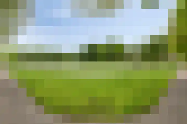 Graaf Adolflaan 1 Amersfoort thumbnail 33