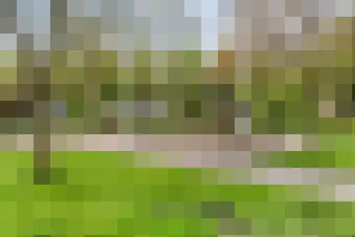 Graaf Adolflaan 1 Amersfoort thumbnail 34