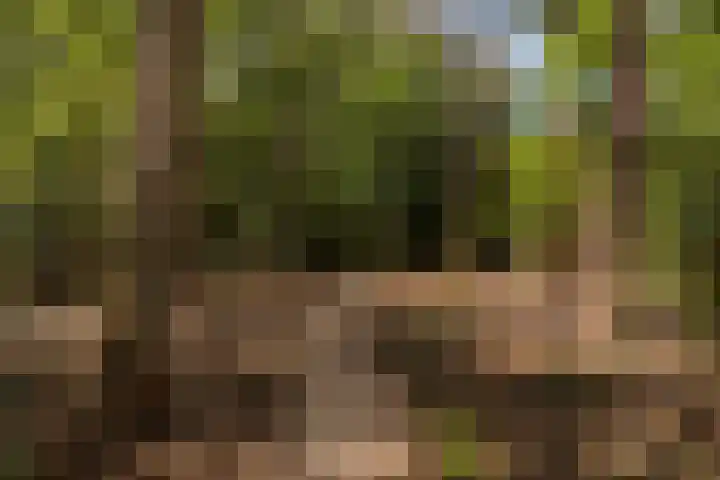 Graaf Adolflaan 1 Zeist thumbnail 15