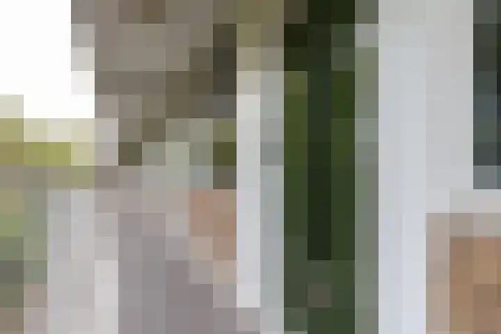 Graaf Adolflaan 13 3 Zeist thumbnail 15