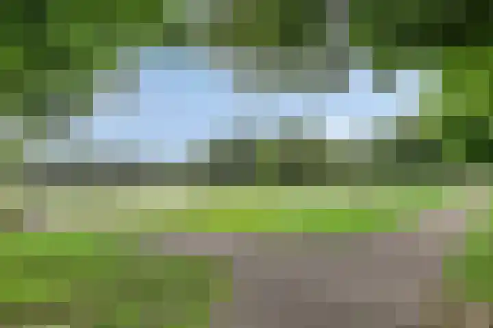 Graaf Adolflaan 2 Amersfoort thumbnail 23