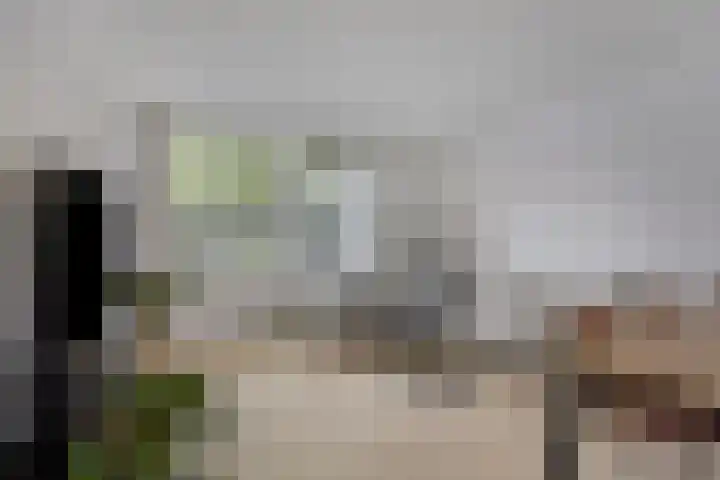 Graaf Adolflaan 2 Amersfoort thumbnail 8