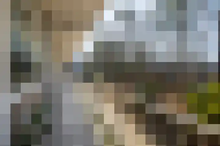 Graaf Adolflaan 27 1 Zeist thumbnail 27