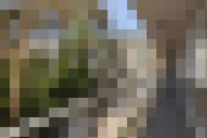 Graaf Adolflaan 27 1 Zeist thumbnail 28