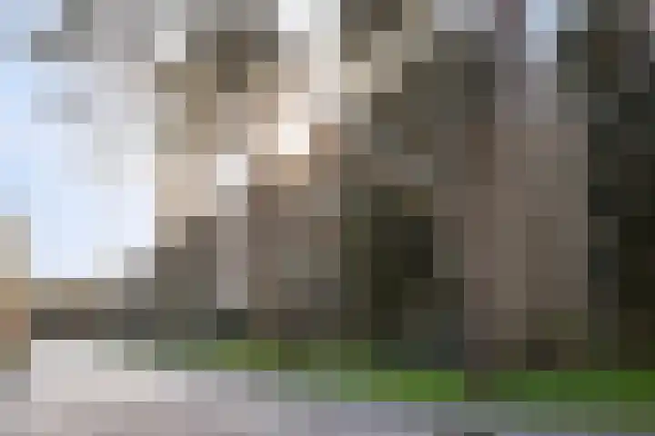 Graaf Adolflaan 27 1 Zeist thumbnail 31