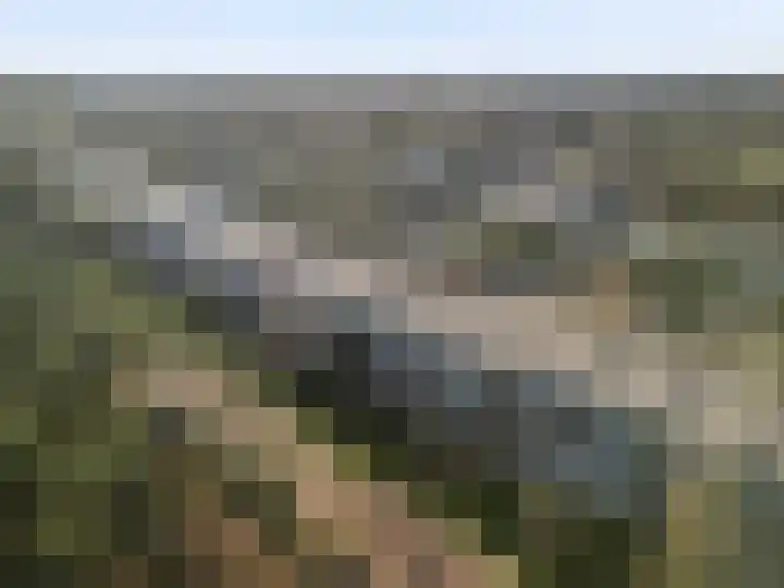 Graaf Adolflaan 27 1 Zeist thumbnail 32
