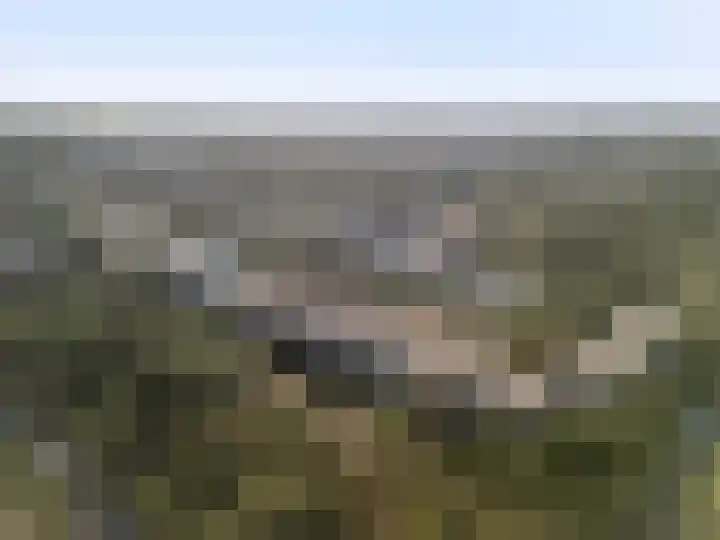 Graaf Adolflaan 27 1 Zeist thumbnail 33