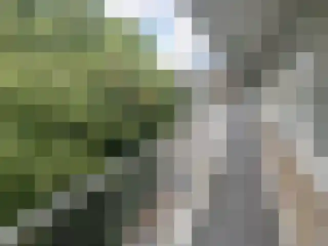 Graaf Adolflaan 27 3 Zeist thumbnail 13