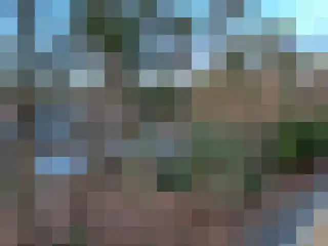 Graaf Adolflaan 3 1 Zeist thumbnail 13