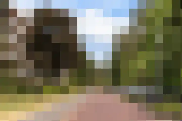 Graaf Adolflaan 3 1 Zeist thumbnail 15