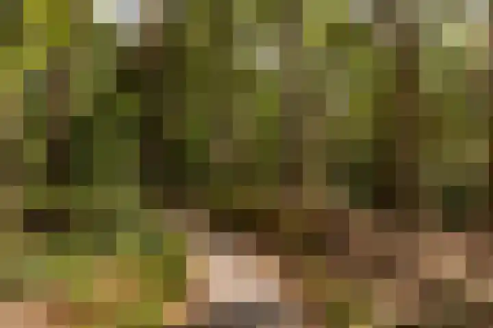 Graaf Adolflaan 3 1 Zeist thumbnail 17
