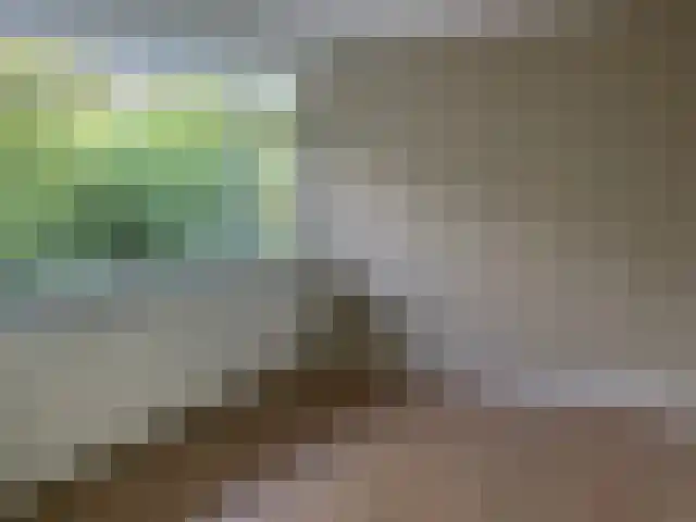 Graaf Adolflaan 3 Zeist thumbnail 7