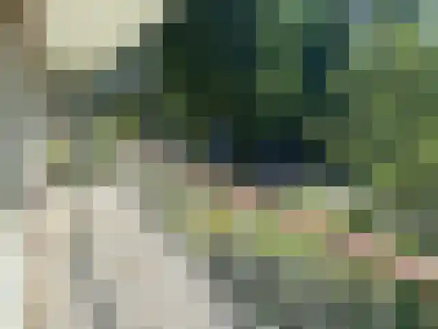Graaf Adolflaan 31 1 Zeist thumbnail 6