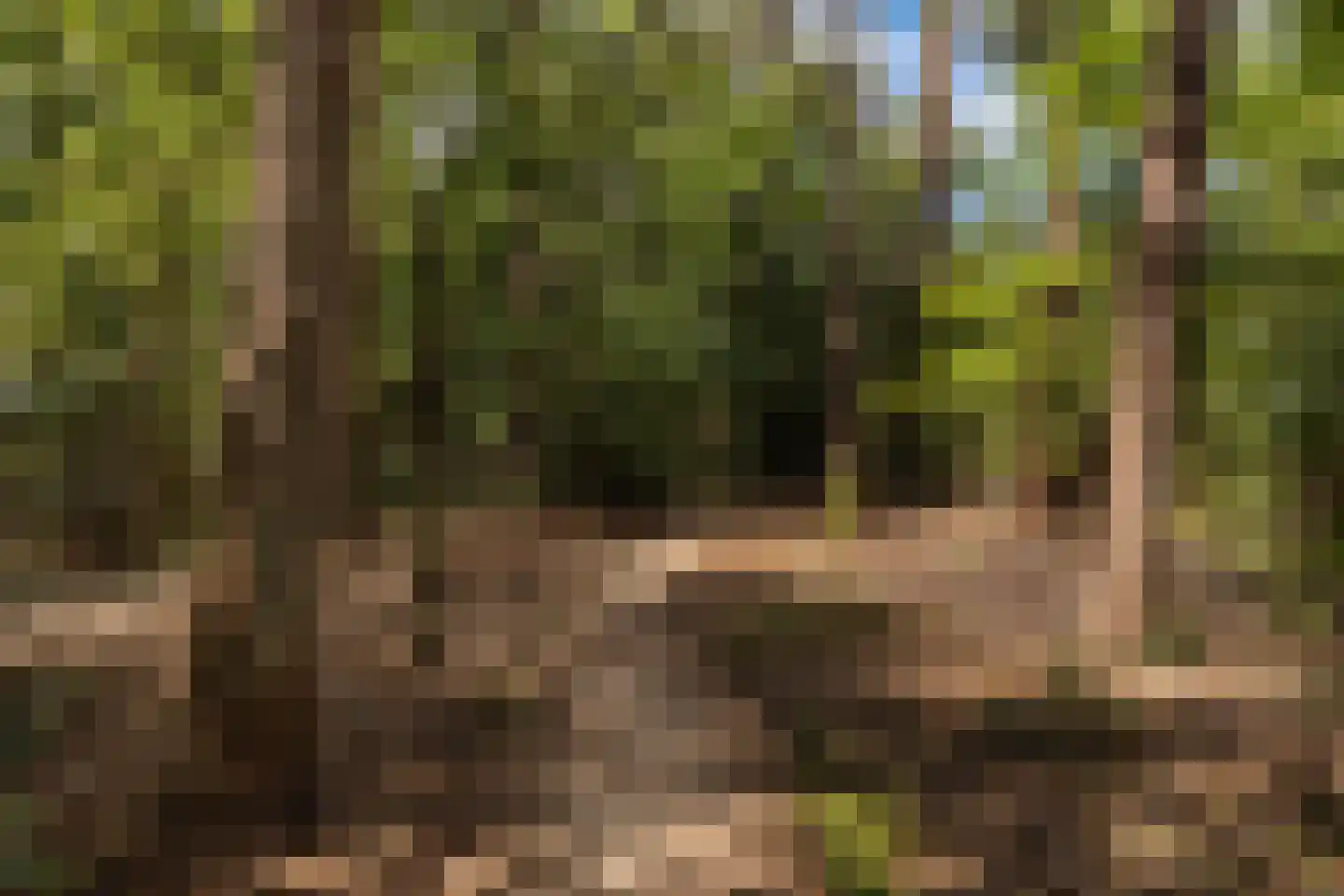 Graaf Adolflaan 37 1 Zeist thumbnail 18
