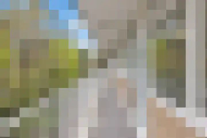 Graaf Adolflaan 41 3 Zeist thumbnail 10