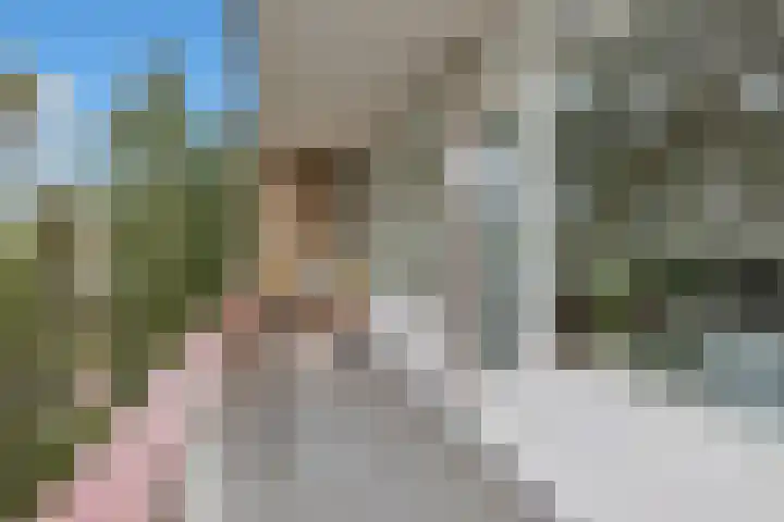 Graaf Adolflaan 41 3 Zeist thumbnail 39