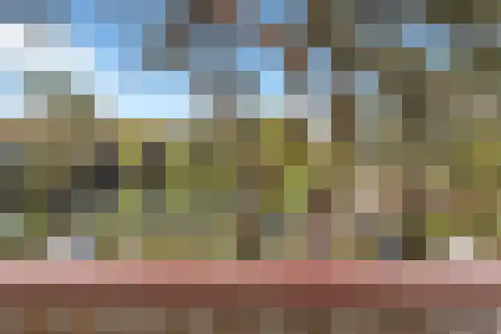 Graaf Adolflaan 41 3 Zeist thumbnail 42