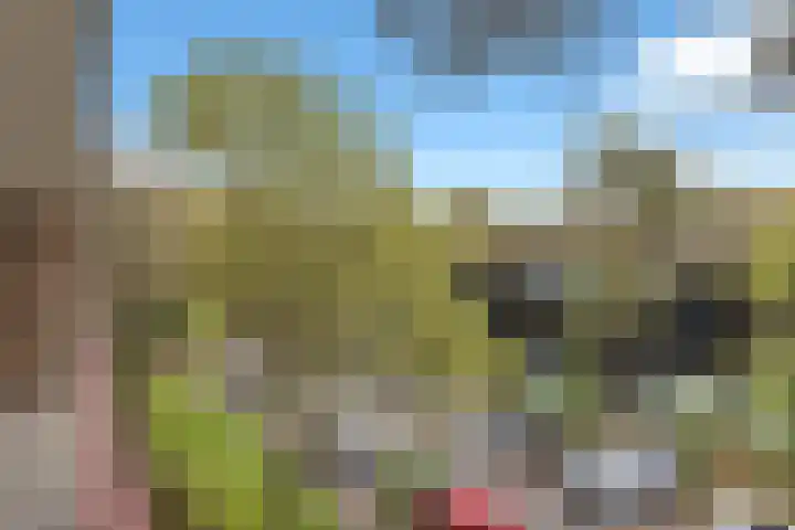 Graaf Adolflaan 41 3 Zeist thumbnail 44