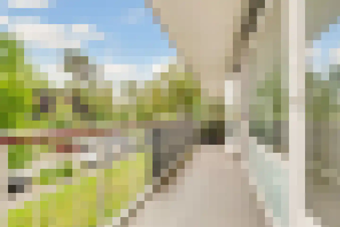 Graaf Adolflaan 51 1 Zeist thumbnail 11