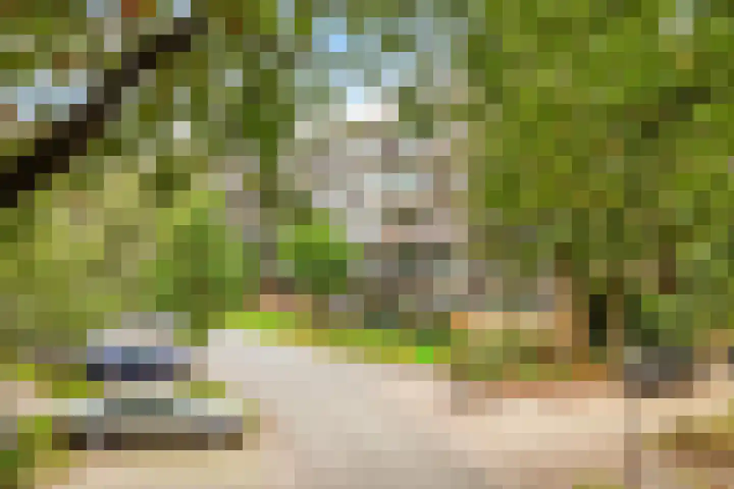 Graaf Adolflaan 51 1 Zeist thumbnail 25