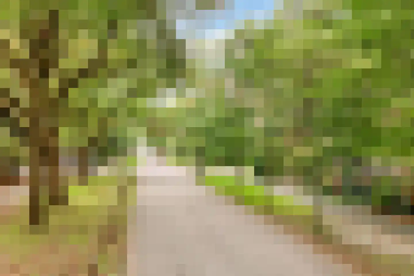 Graaf Adolflaan 51 1 Zeist thumbnail 27