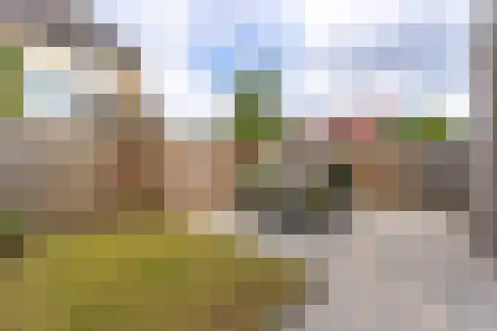 Graaf Adolflaan 67 Amersfoort thumbnail 17