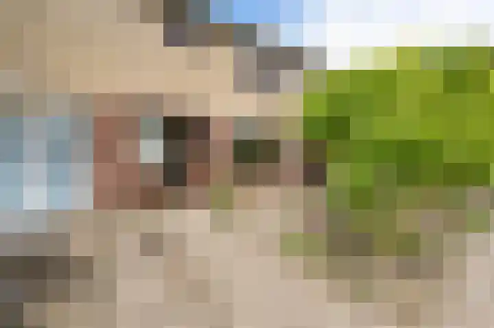 Graaf Adolflaan 7 Leidschendam thumbnail 4
