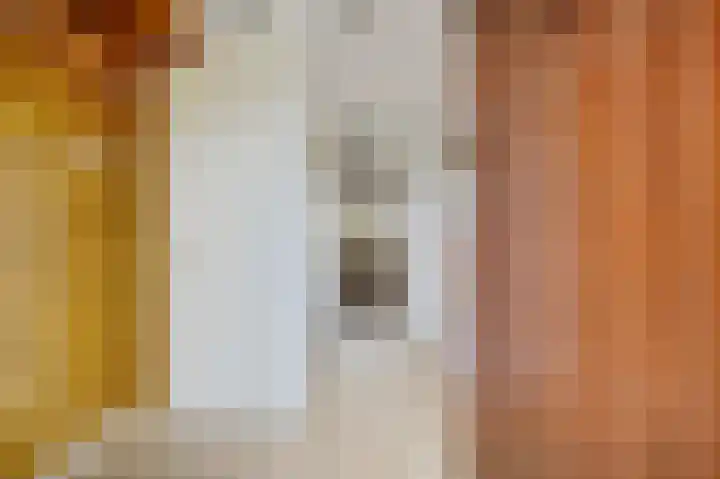 Graaf Adolflaan 7 Leidschendam thumbnail 5