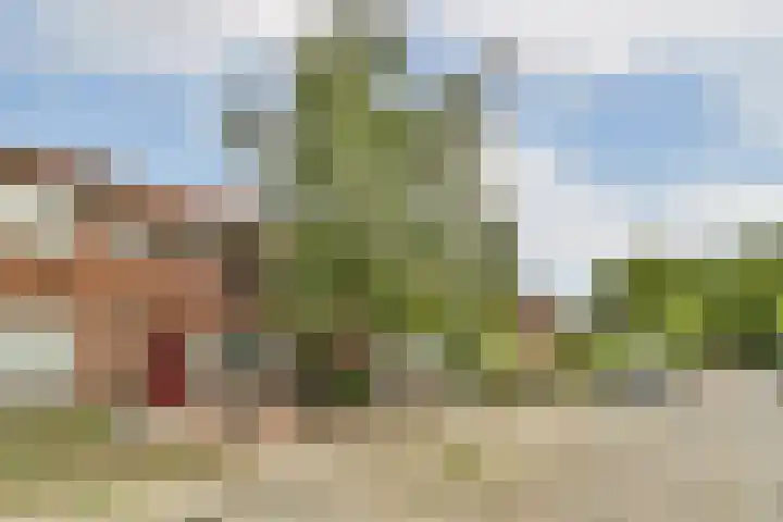 Graaf Adolfstraat 10 Ridderkerk thumbnail 29