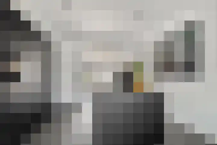 Graaf Adolfstraat 11 Ridderkerk thumbnail 13