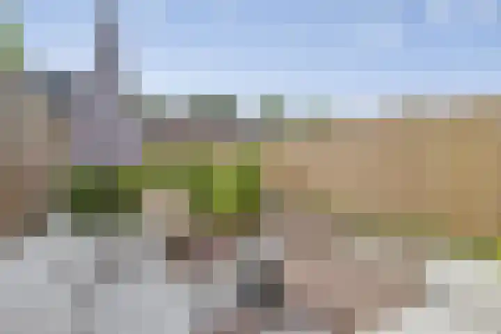 Graaf Adolfstraat 11 Ridderkerk thumbnail 33