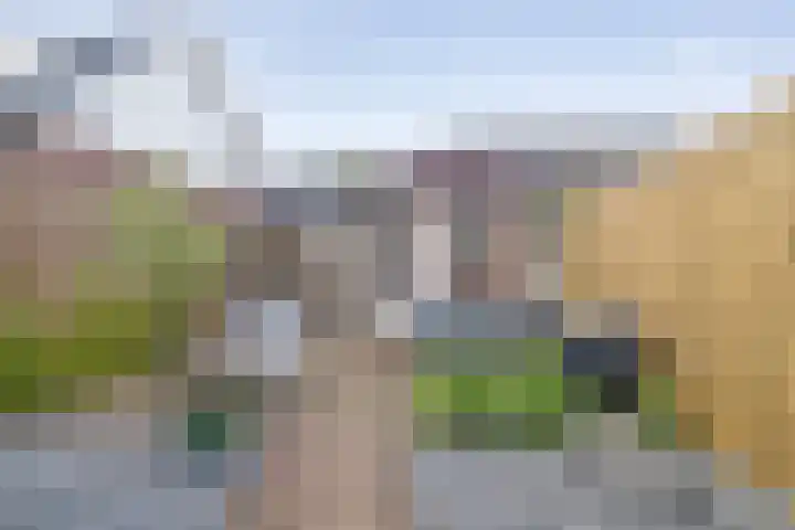 Graaf Adolfstraat 11 Ridderkerk thumbnail 36
