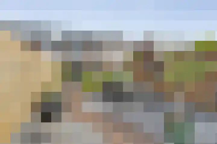 Graaf Adolfstraat 11 Ridderkerk thumbnail 5
