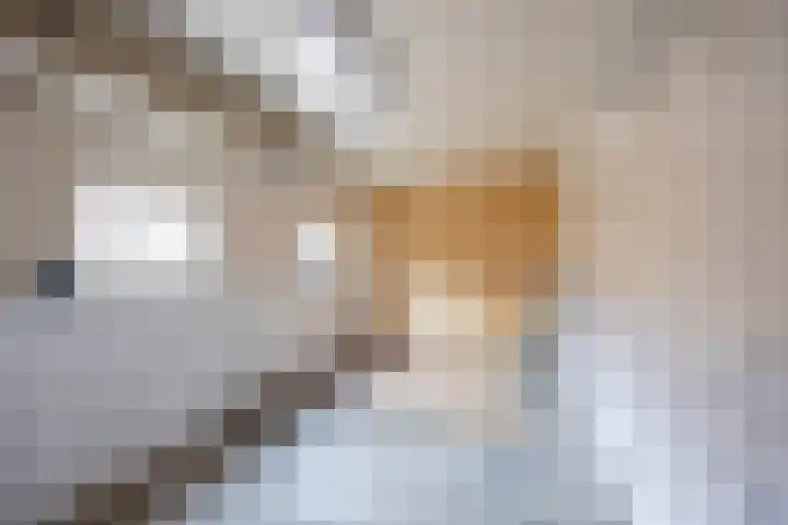 Graaf Adolfstraat 13 Oude Pekela thumbnail 17