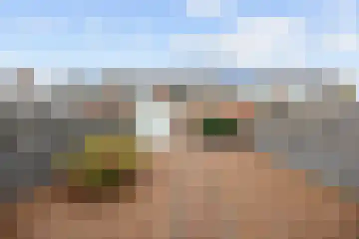 Graaf Adolfstraat 13 Oude Pekela thumbnail 39