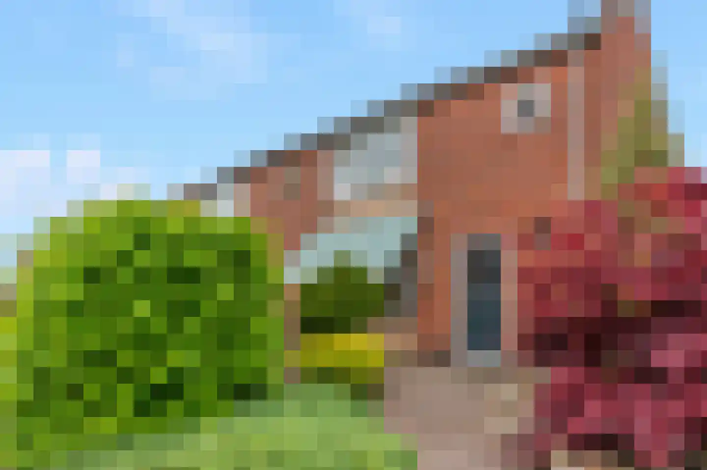Graaf Adolfstraat 14 Oude Pekela thumbnail 4