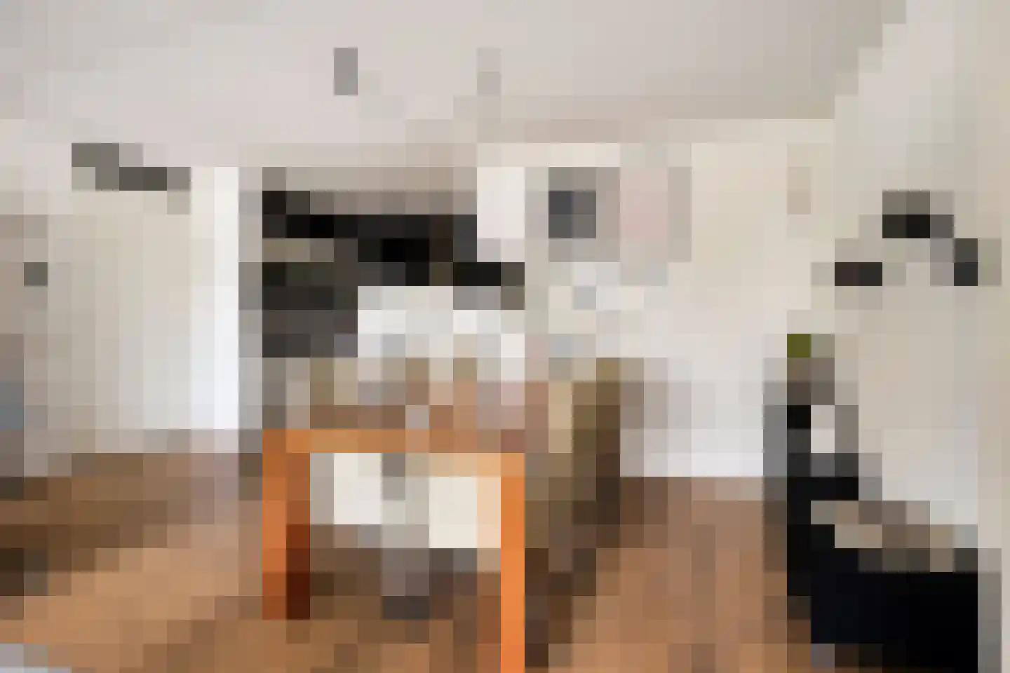 Graaf Adolfstraat 15 103 Sneek thumbnail 20