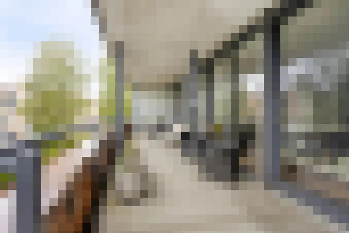 Graaf Adolfstraat 15 103 Sneek thumbnail 4