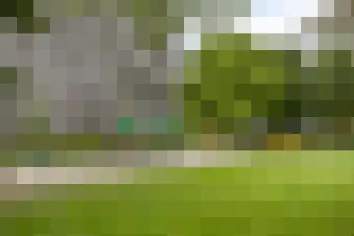 Graaf Adolfstraat 168 Eindhoven thumbnail 35